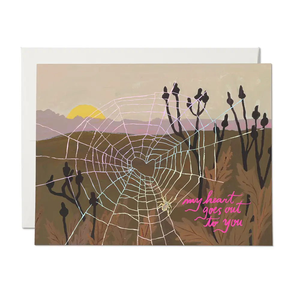 Spider web sympathy