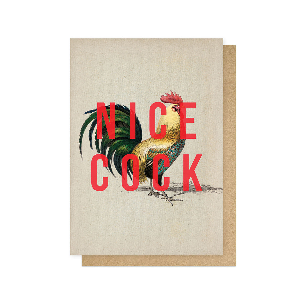 Nice cock card
