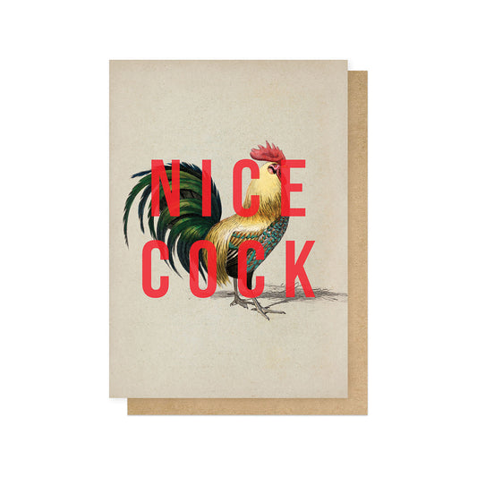 Nice cock card