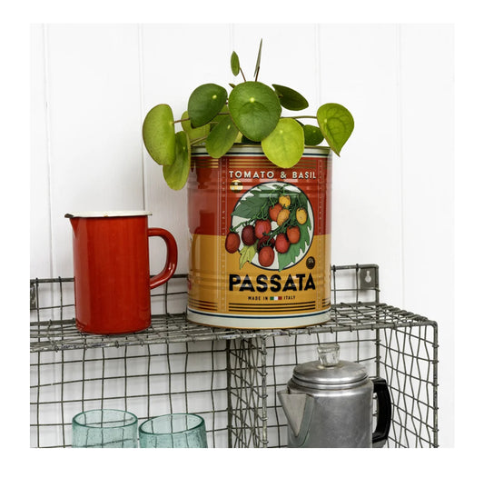 XL Passata Tomato and Basil tin