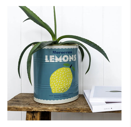 XL Lemons storage tin