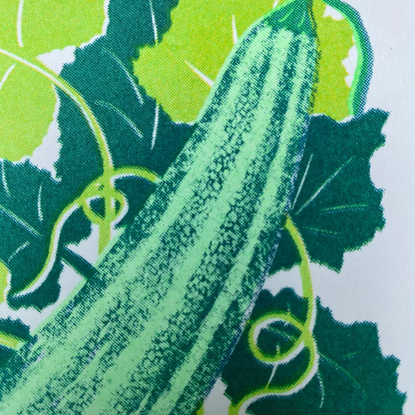 Courgette riso greetings card