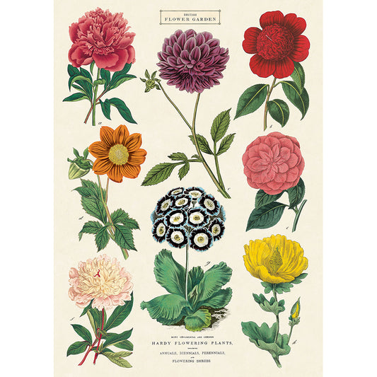 Botanic flowers poster