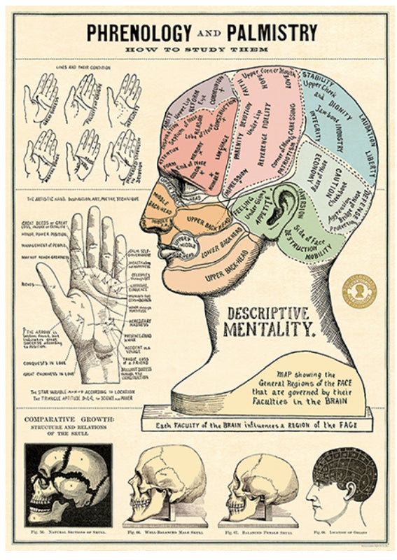 Phrenology and palmistry poster