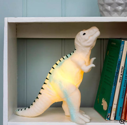 Dinosaur night light