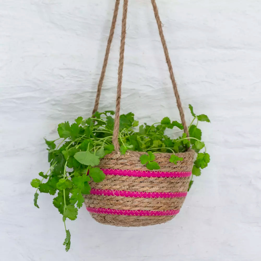 Seagrass hanging basket