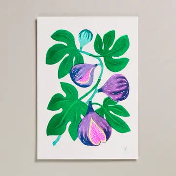 Fig A4 riso print