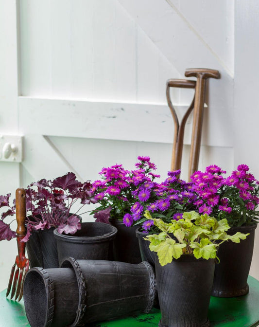 Rubber tyre planter
