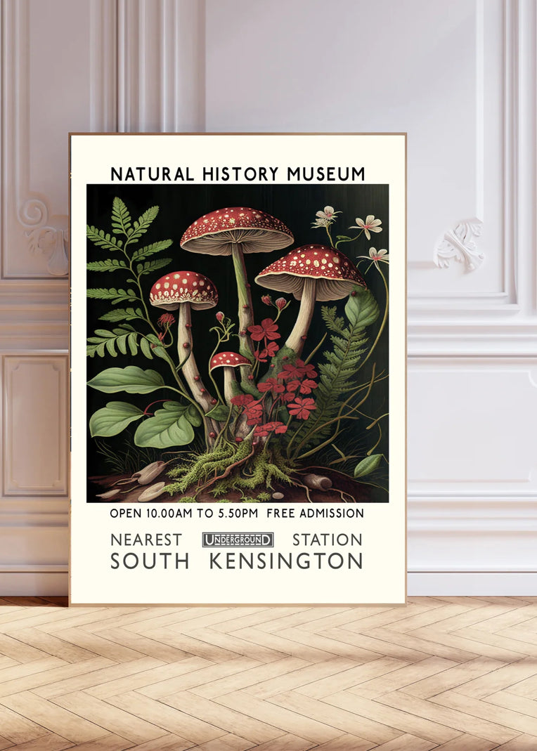 Natural History Mushroom A3 print