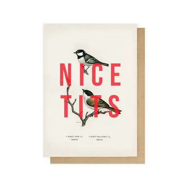 Nice tits card
