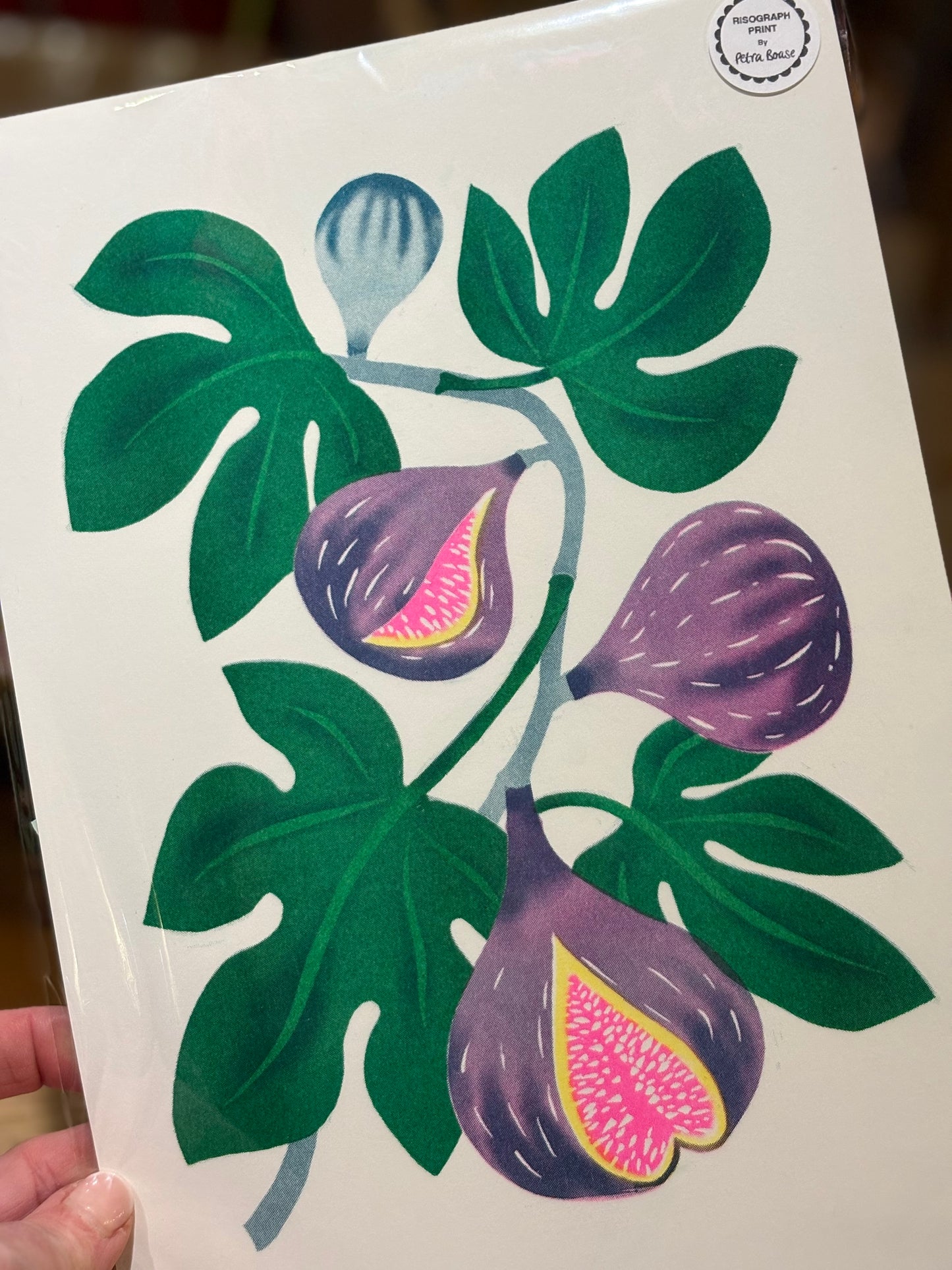 Fig A4 riso print