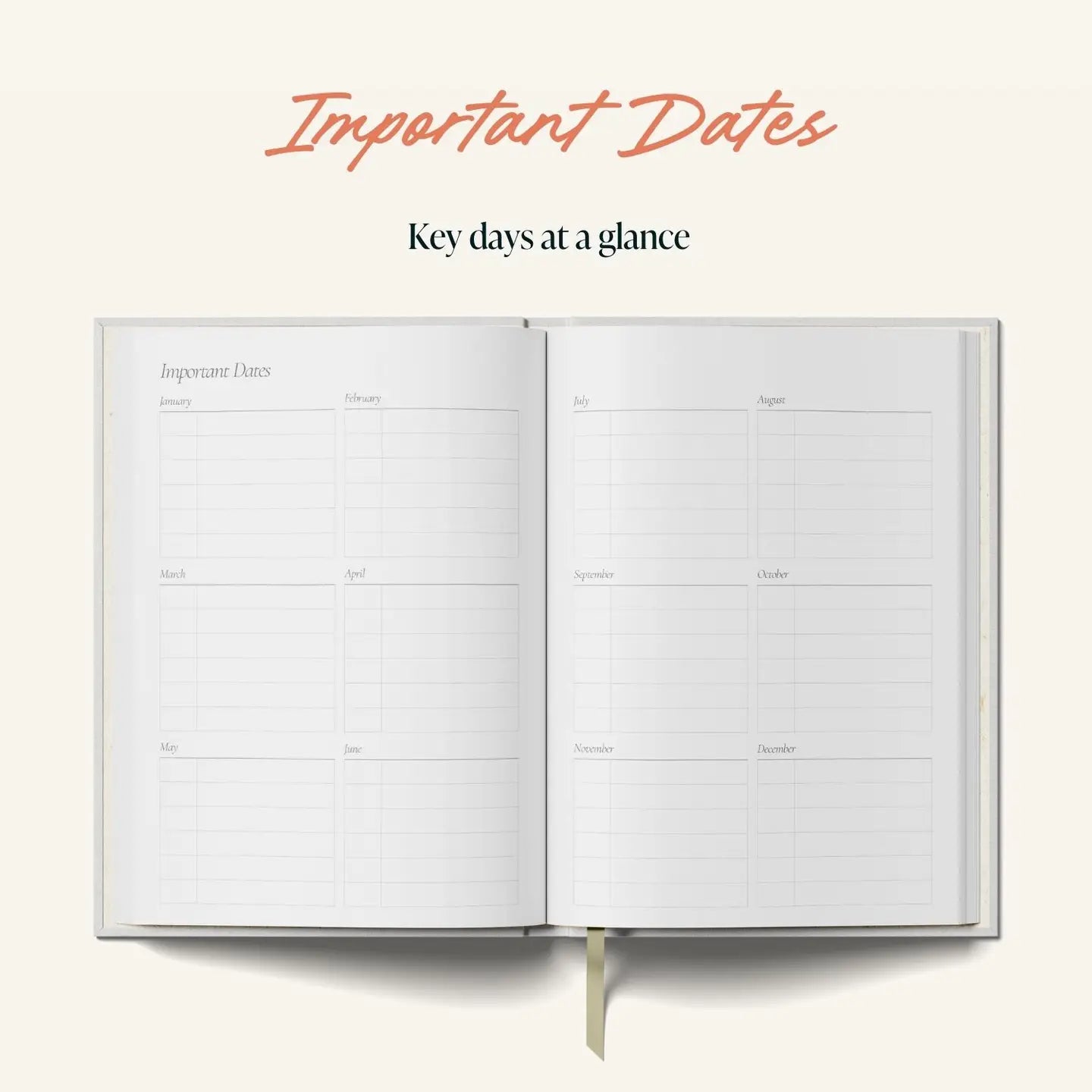 A5 Daily planner wavy pink