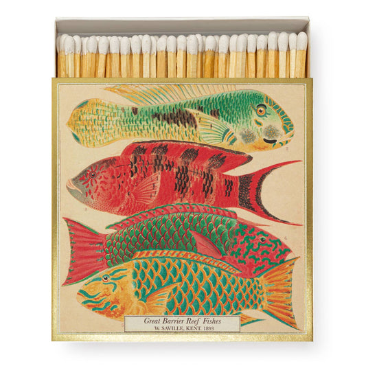 Fish matches