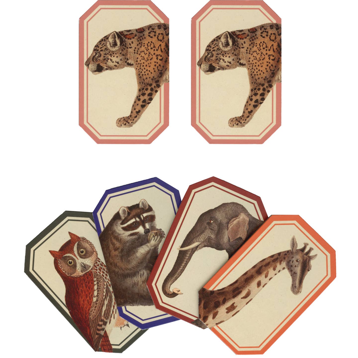 Animal kingdom memory game