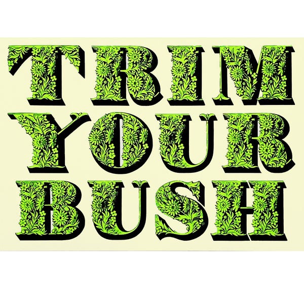 Trim your bush A3 print