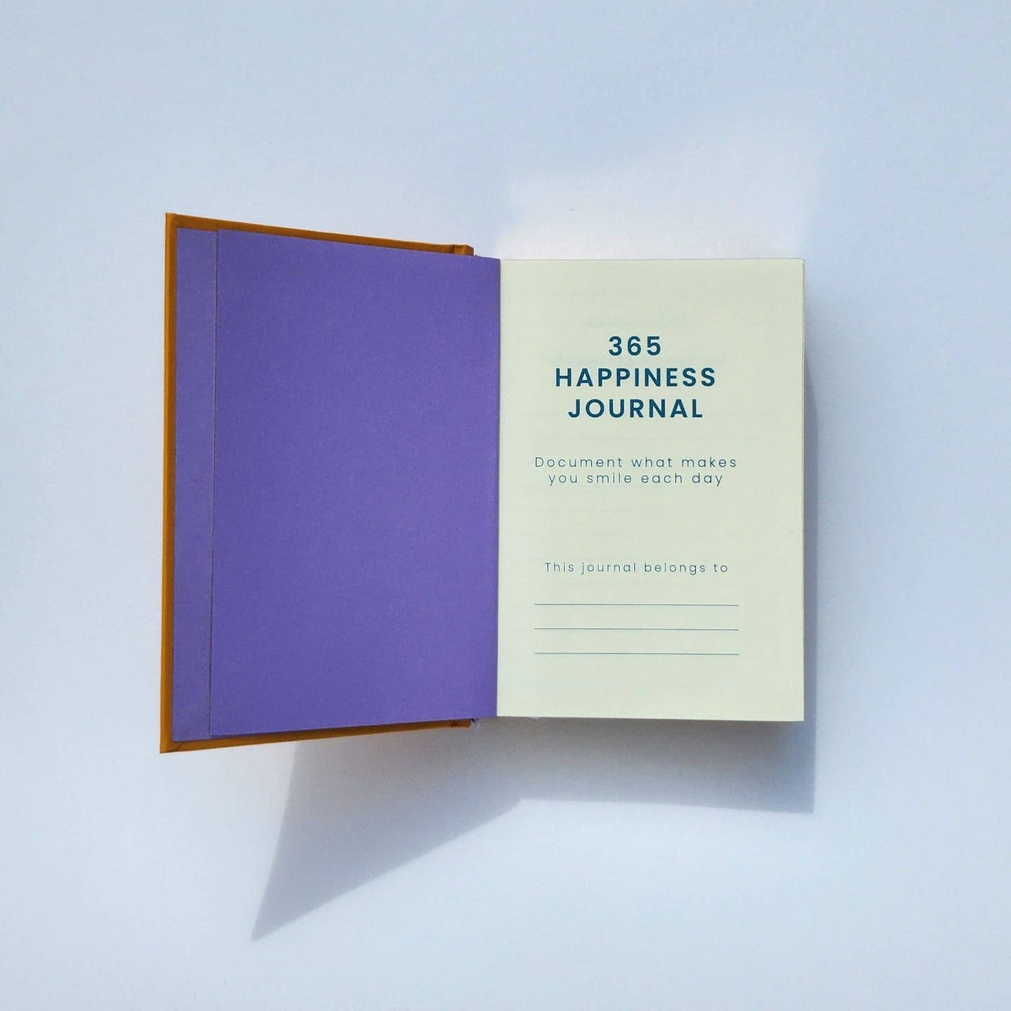 Mini Happiness journal