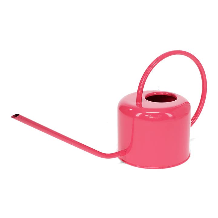 Metal watering can