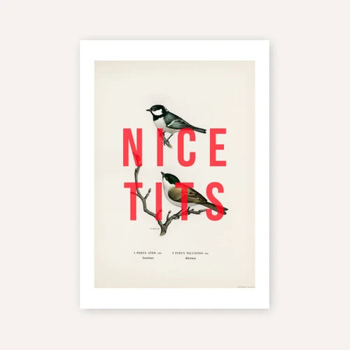 Nice tits A3 print