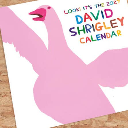 David Shrigley 2027 wall calendar