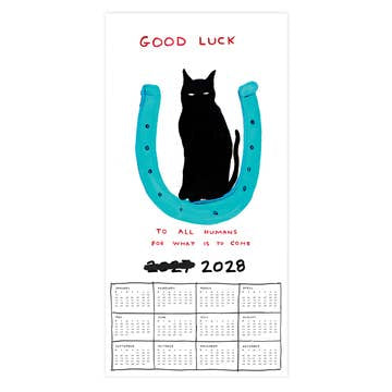 David Shrigley 2027 wall calendar