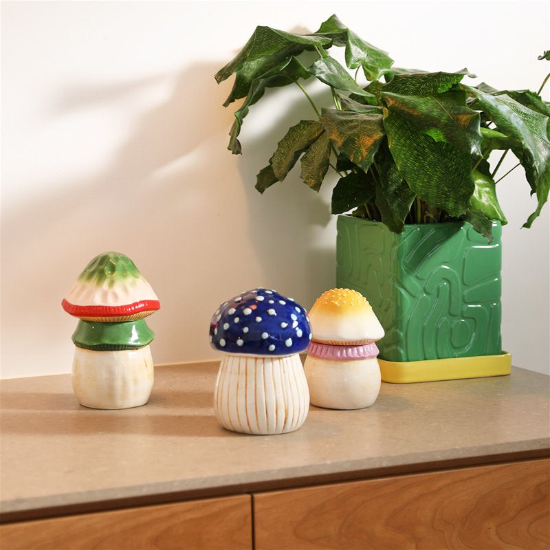 Large mushroom jar