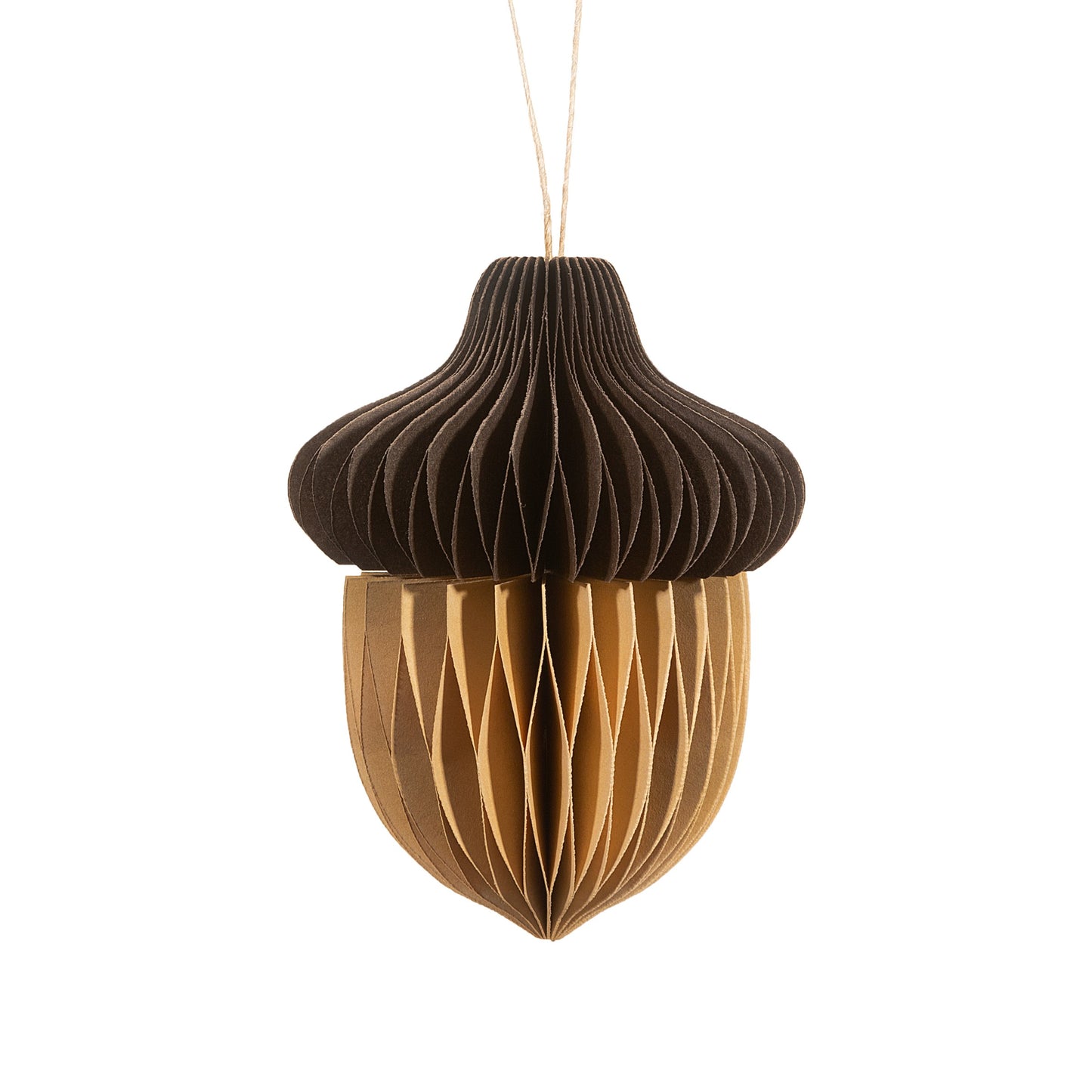 Acorn honeycomb decoration