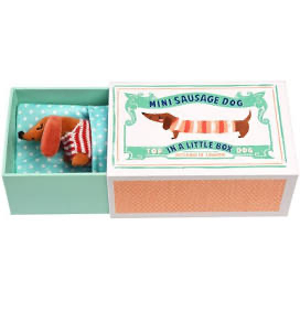 Sausage dog in a box