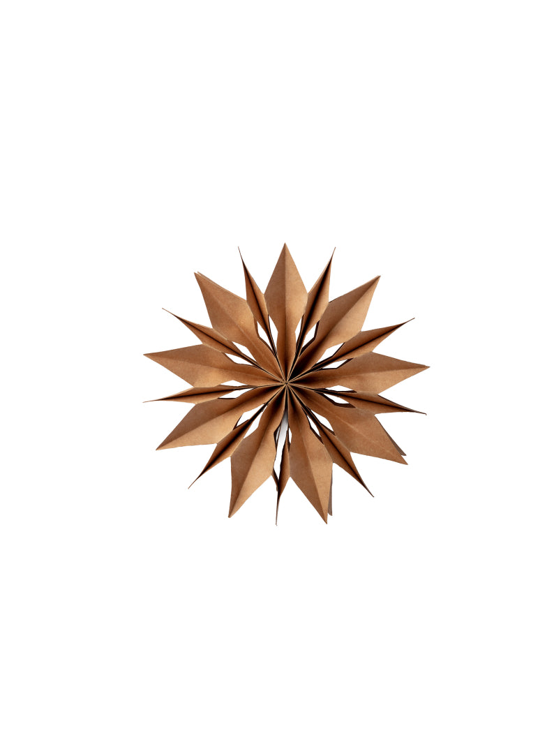 Kraft star decoration