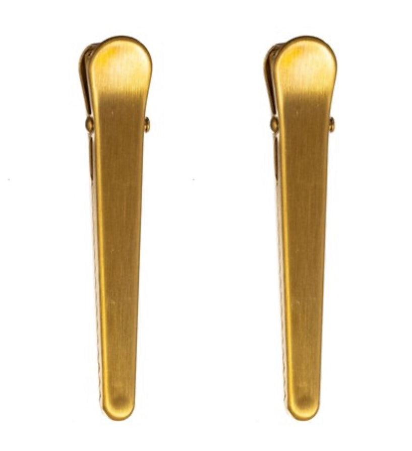 Pair of brass clips