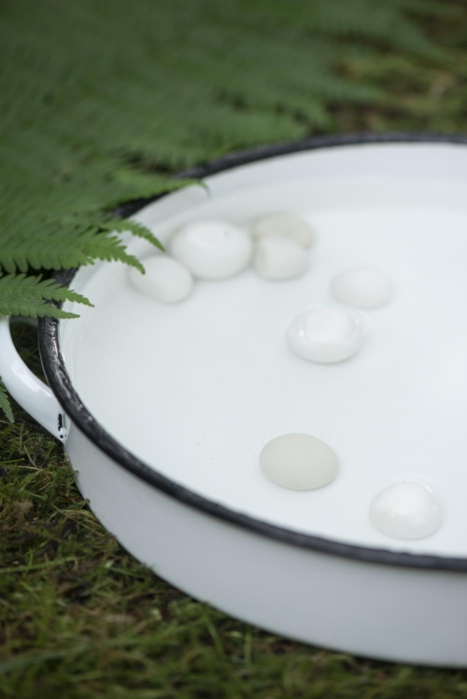 Round enamel tray