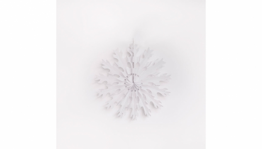 White tissue snowflake