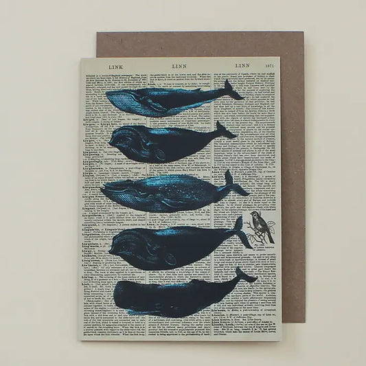 Whales card
