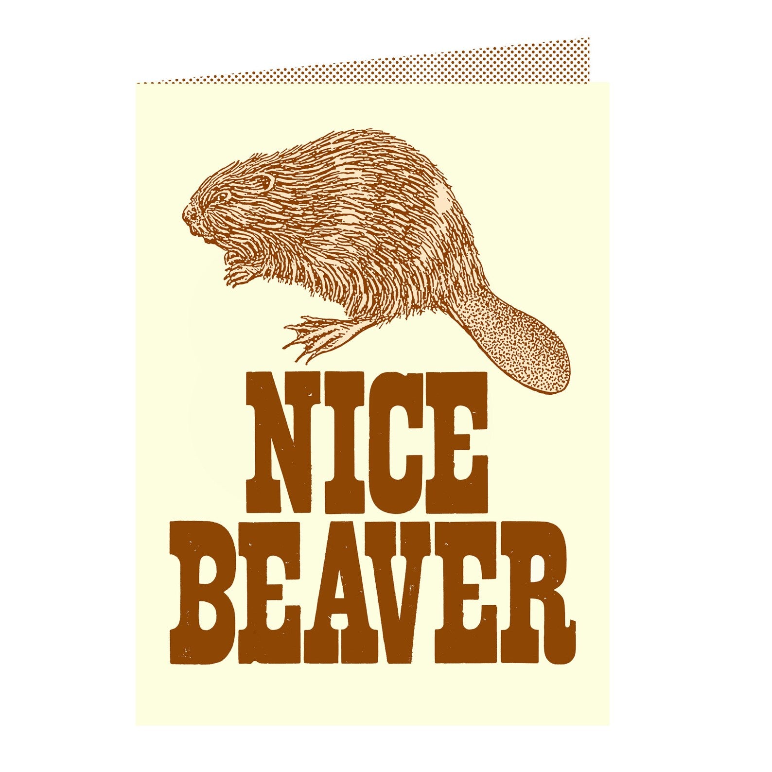 Nice beaver card – DickieBird Homestore
