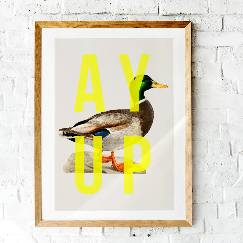 Ay up duck A4 print