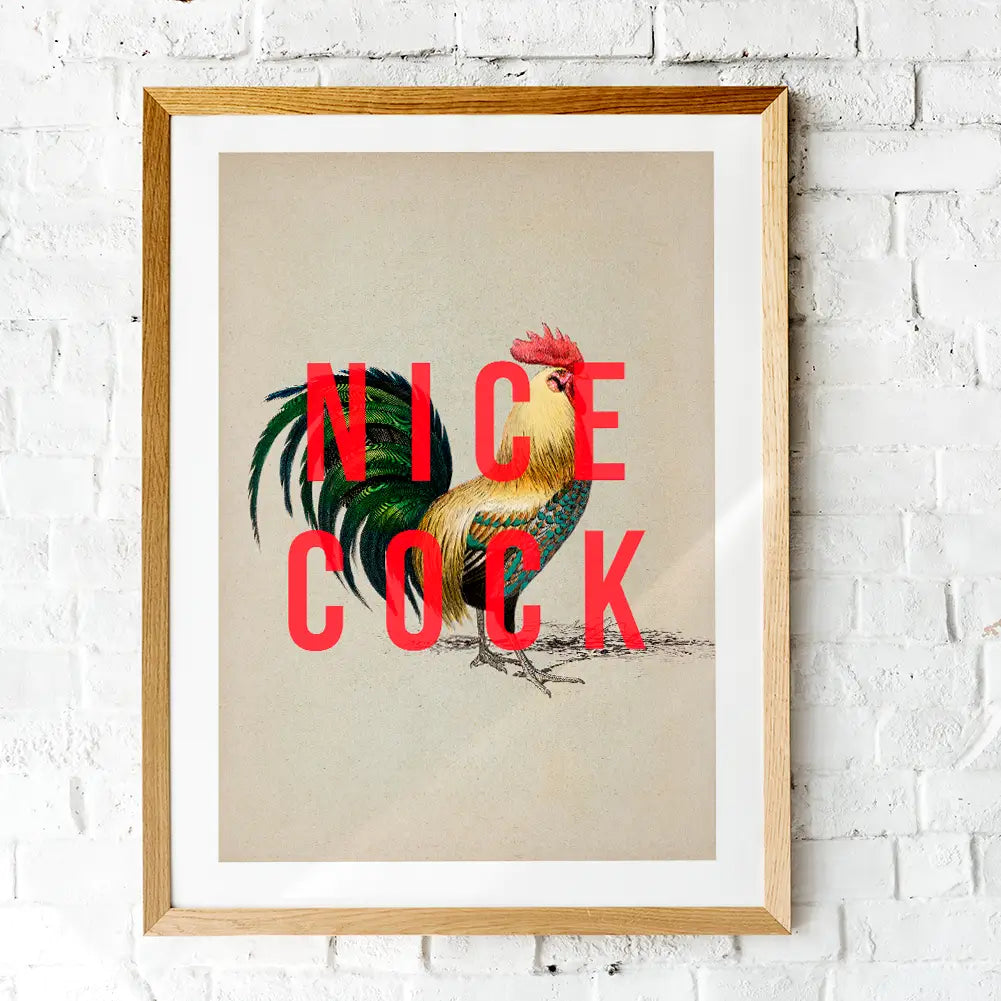 Nice cock A4 print