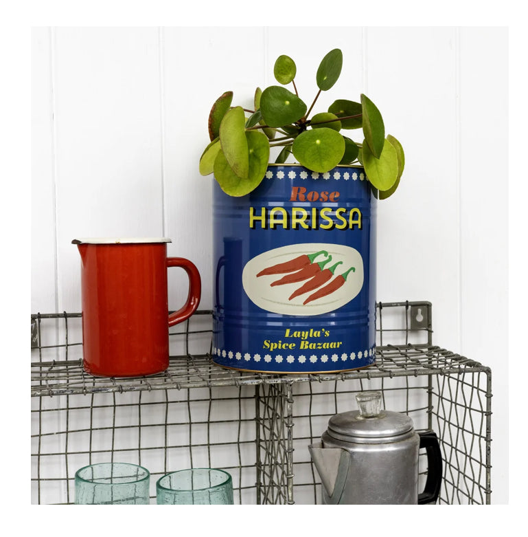 XL Harissa tin