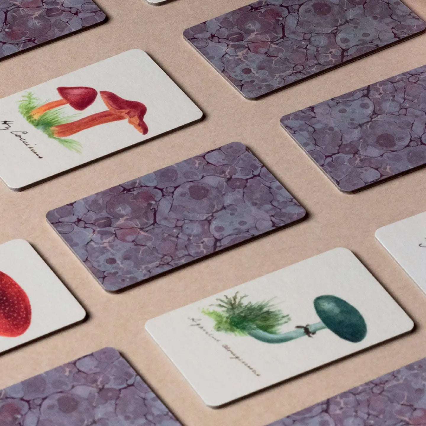 Fungi memory game