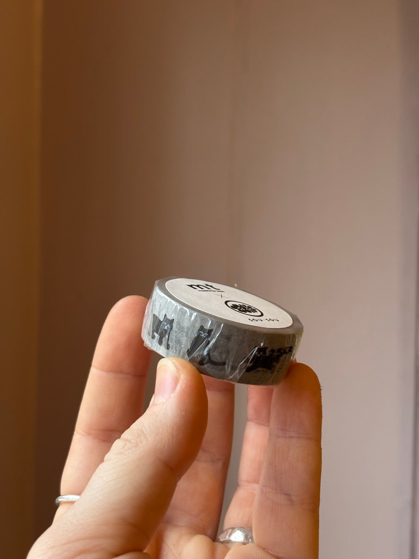 MT washi tape