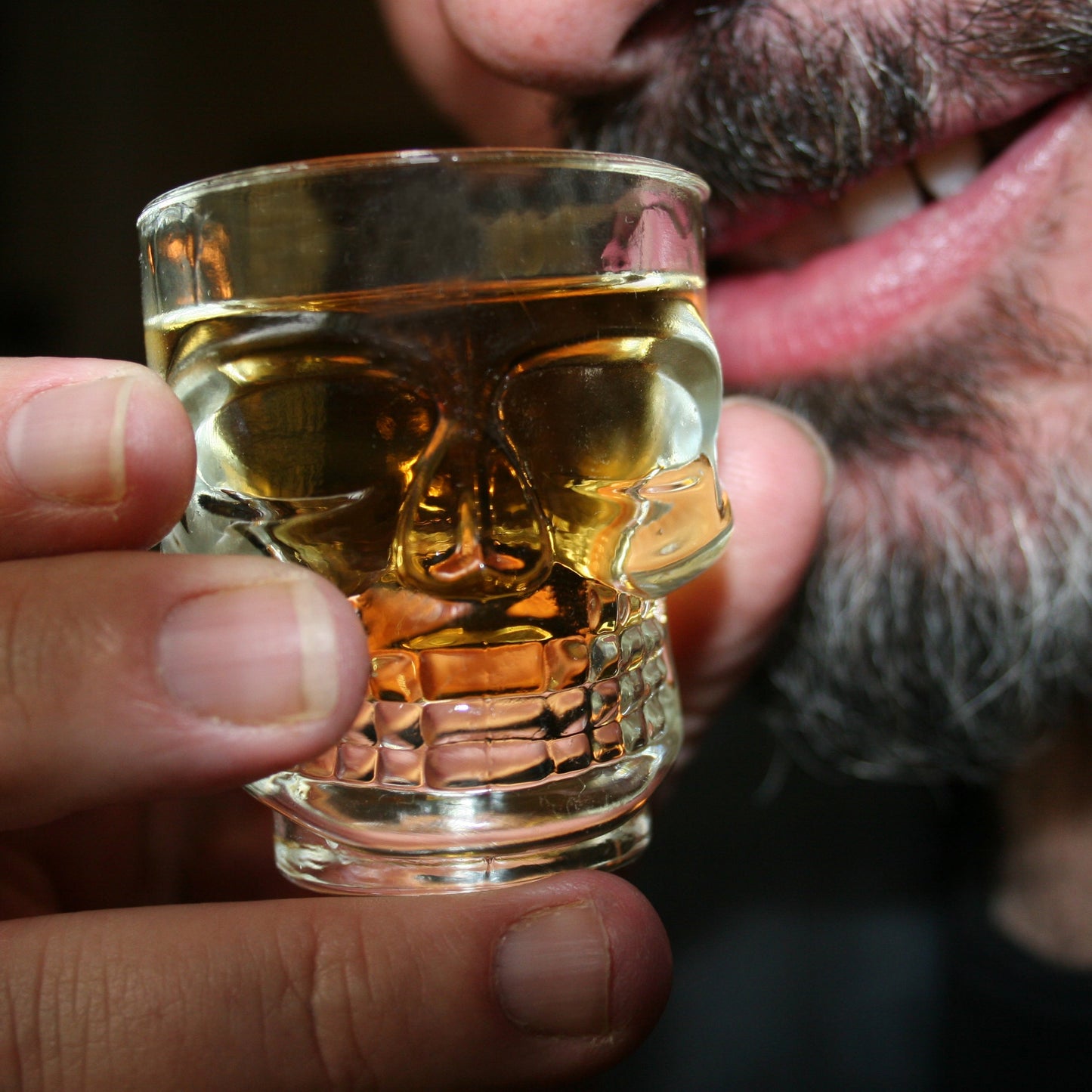 Skull shot glasses