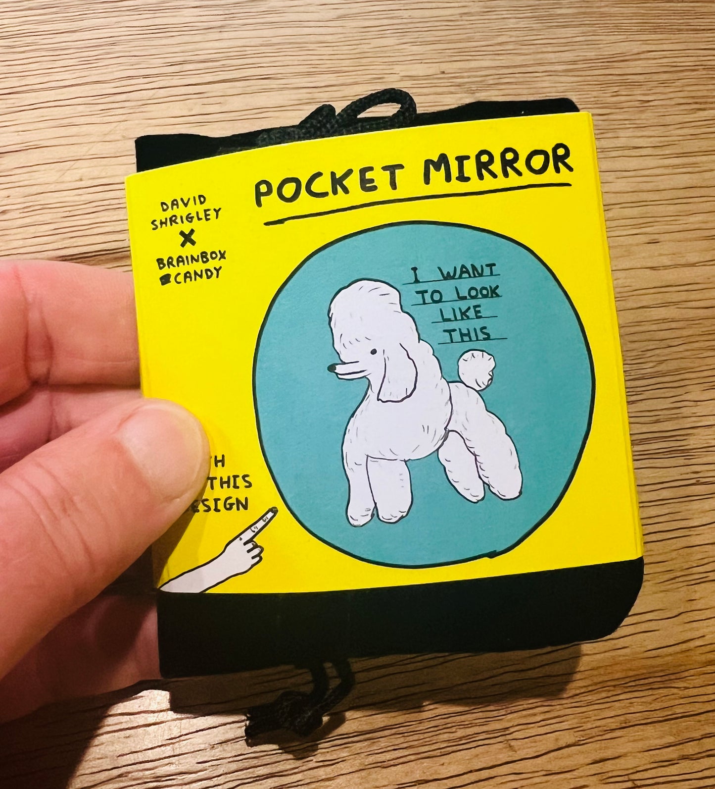 David Shrigley pocket mirror