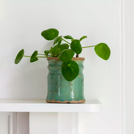 Turquoise glazed vase