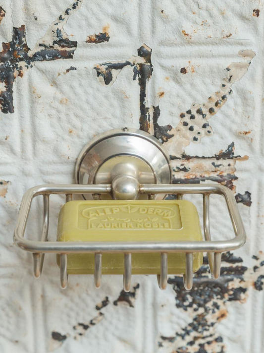 Wall-mounted soap dish