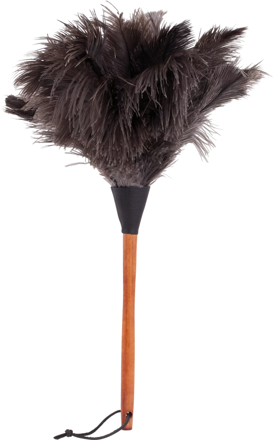 Ostrich feather duster