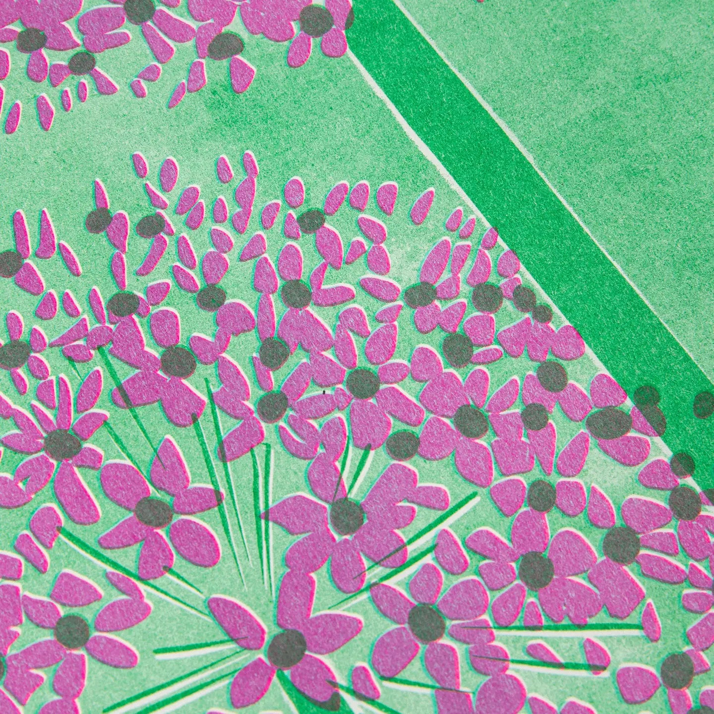 Allium riso print - A4
