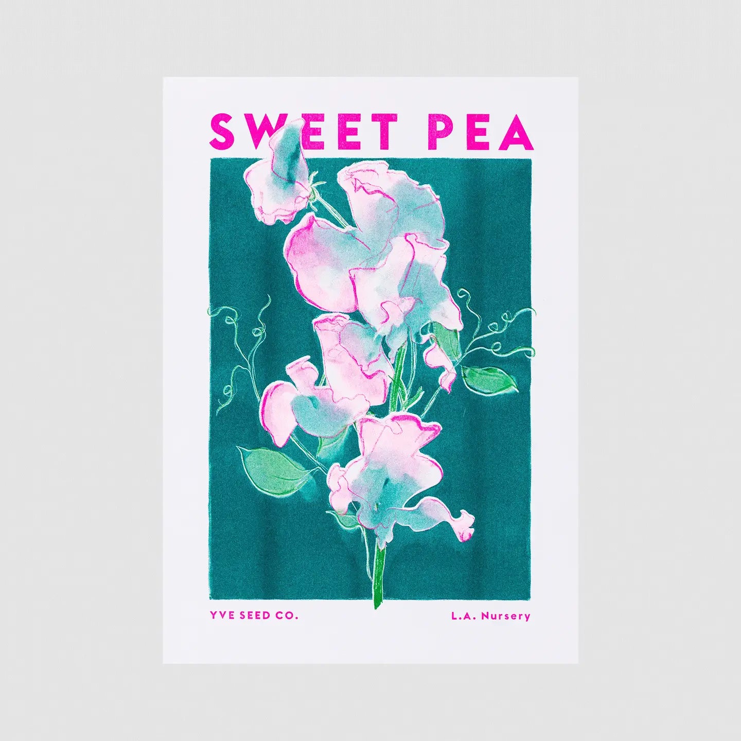 Sweet pea riso print - A4