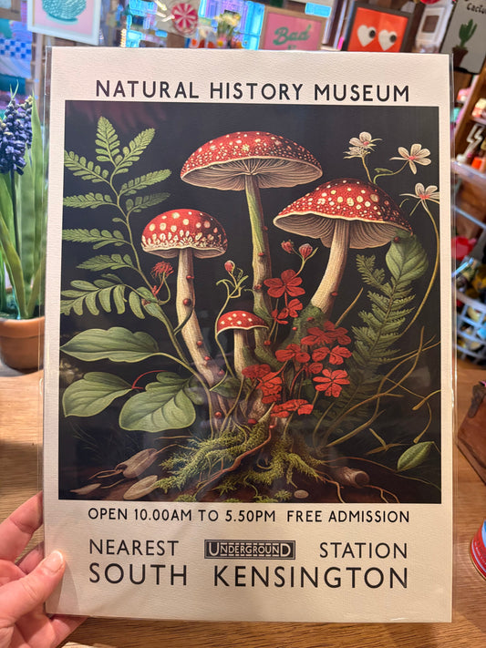 Natural History Mushroom A3 print