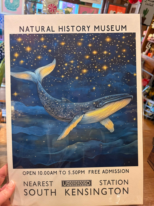 Natural History whale A3 print