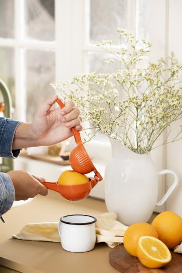 Metal orange squeezer