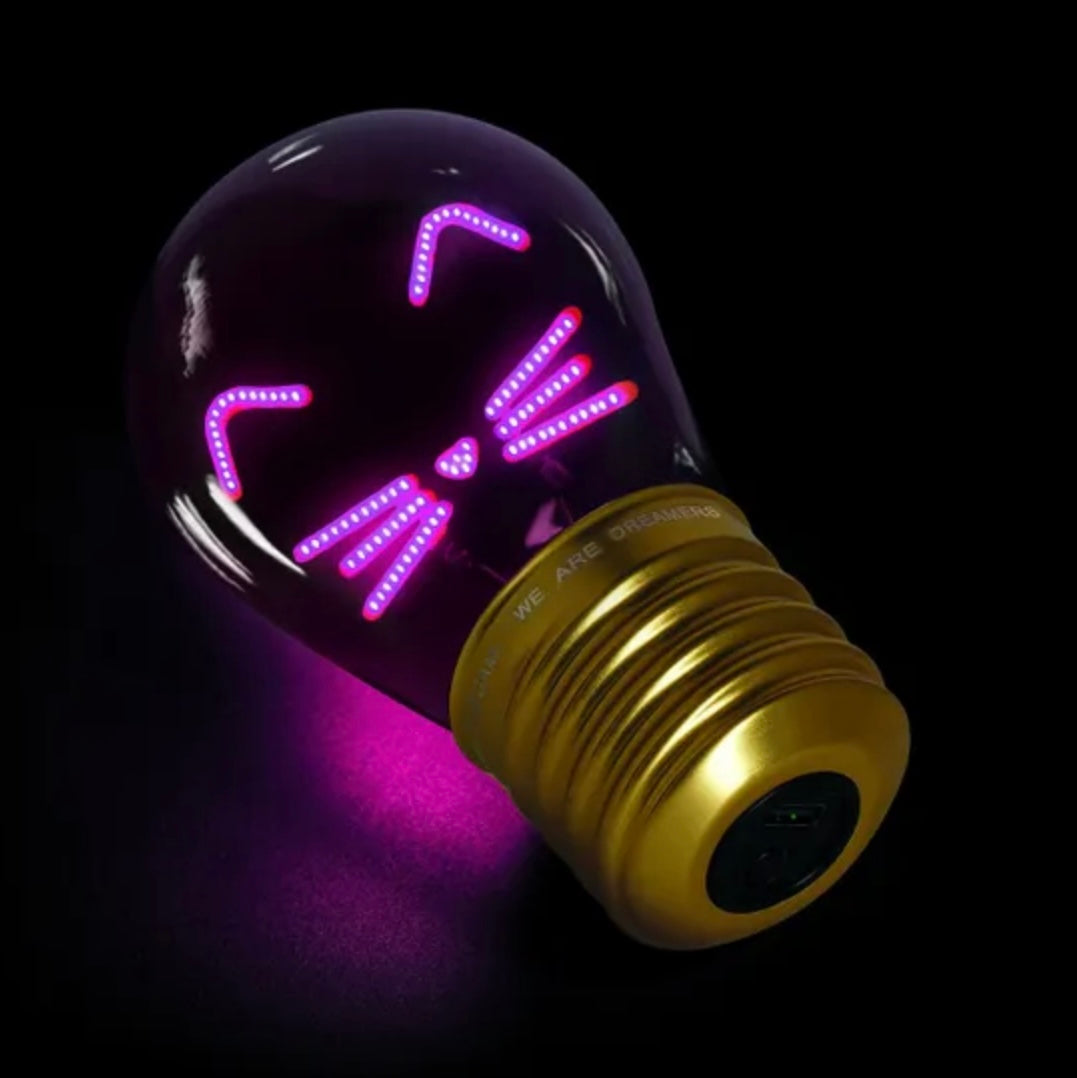 Cordless lightbulb lamp