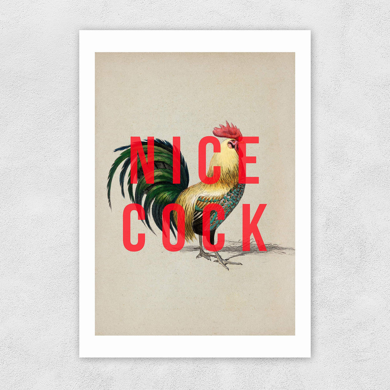 Nice cock A3 print